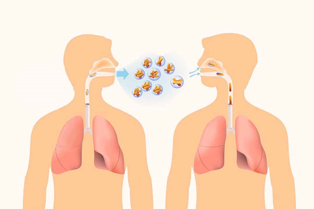 Bệnh lao phổi lây như thế nào?