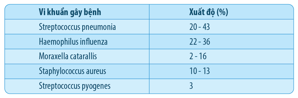 điều trị vi&ecirc;m mũi xoang cấp